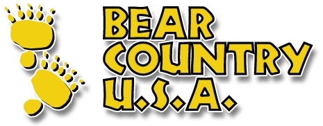 yellow bear country logo