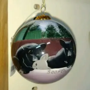 7 Cubs on Rock Glass Ornament