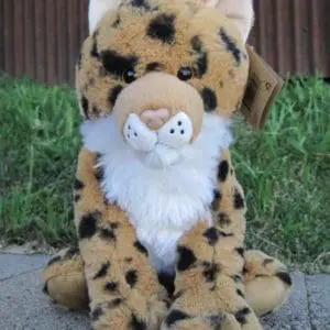 12" Bobcat Sitting