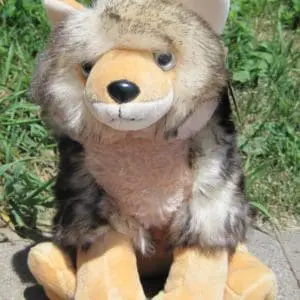 12" Coyote