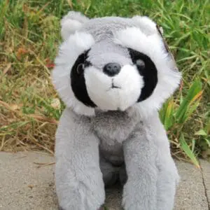 8" Raccoon-The Petting Zoo