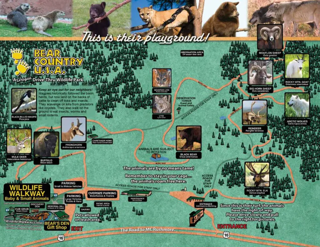 Drive Thru map of Bear Country