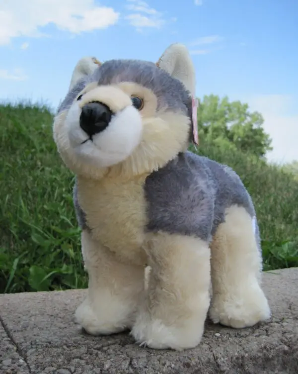 Aurora 12" "Wiley" Wolf