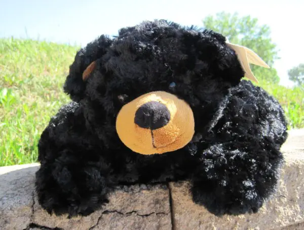 16" Plush Blk. Bear Pillow Buddy