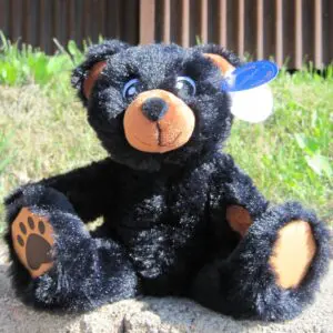 MJC 9" Blk Bear w/Tan Paws