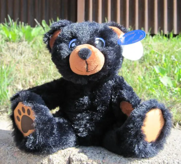 MJC 9" Blk Bear w/Tan Paws