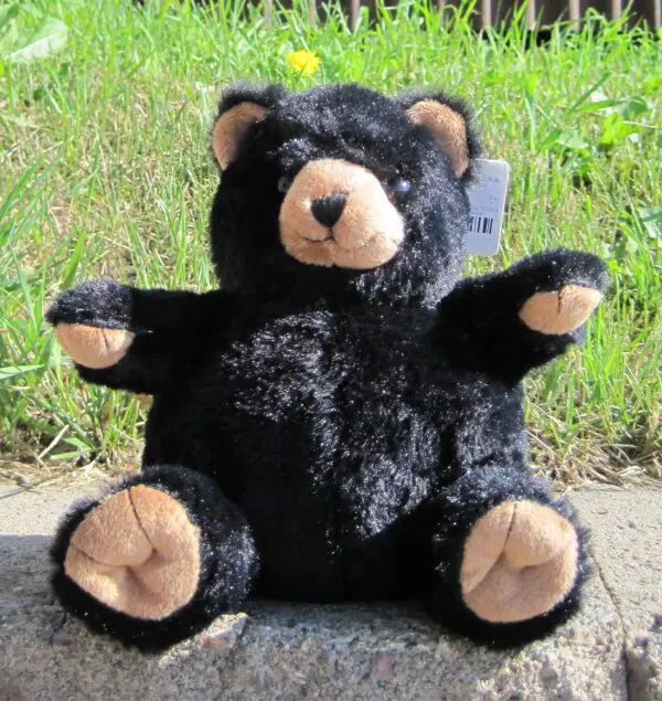 8" Baby Plumpee Blk Bear