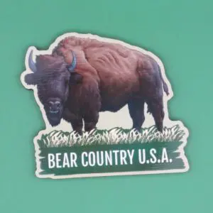 Magnet- Buffalo in Grass