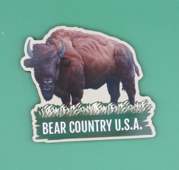 Magnet- Buffalo in Grass