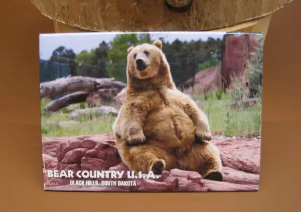 Magnet- "Tank" Grizzly Bear Sitting