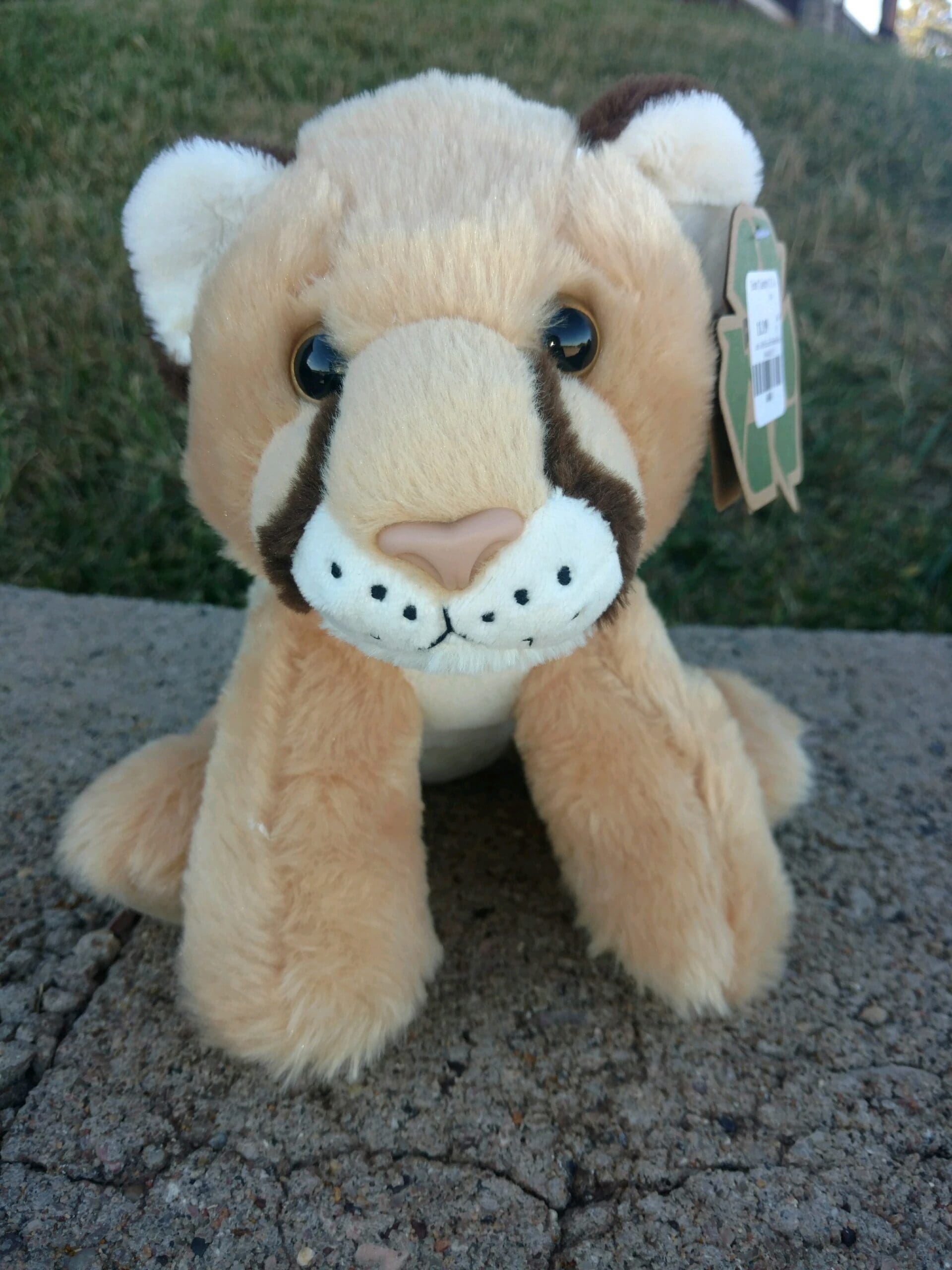 Stuffed sale mountain lion